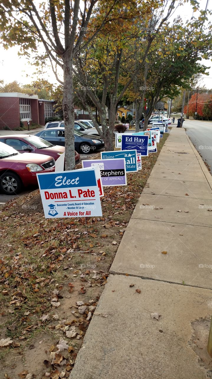 who is the best candidate for office