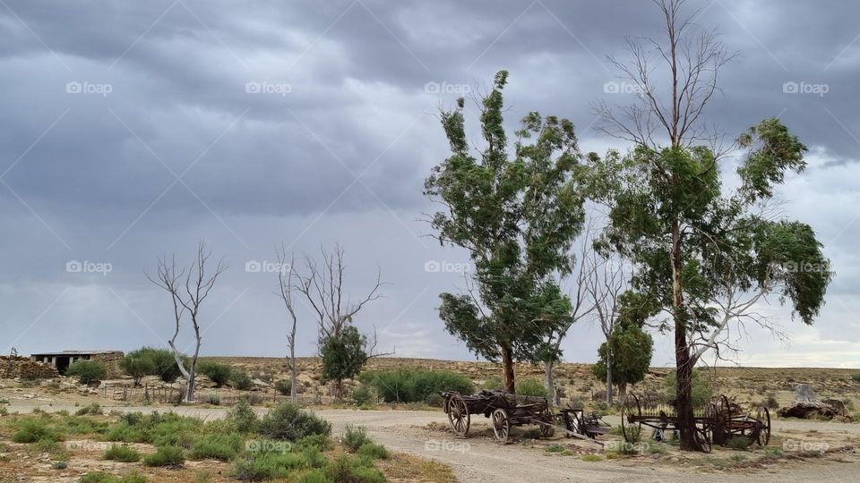 Landscape. beautiful scene. midday and cloudy on a karoo farm .South Africa