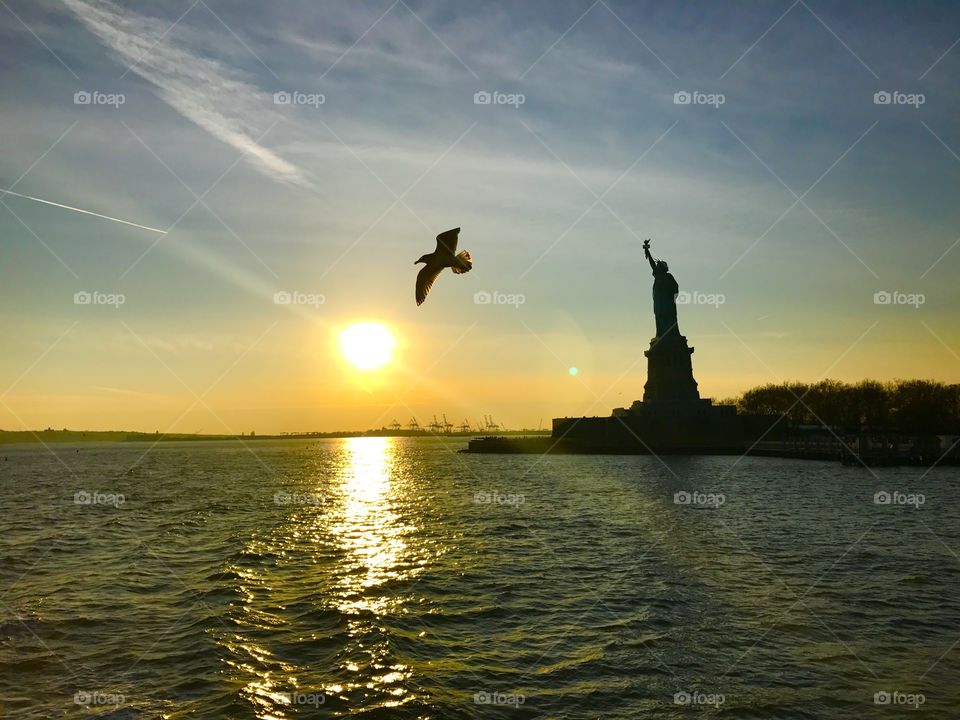 Freedom in all forms 🌞🗽