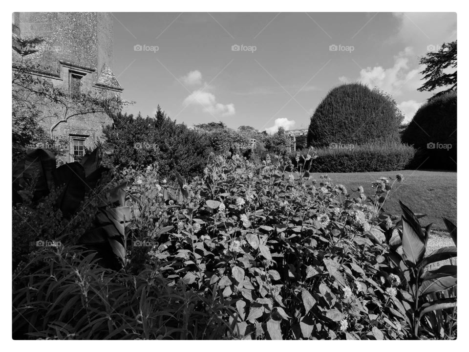 Stately home. Gardens