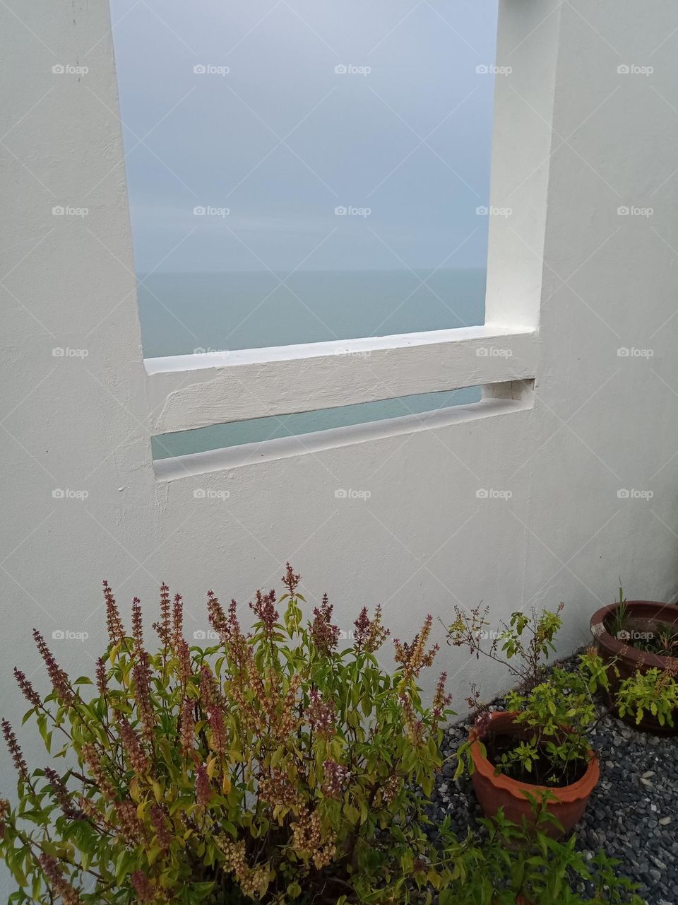 Window on ocean