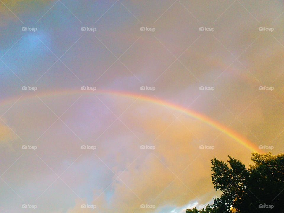 Rainbow