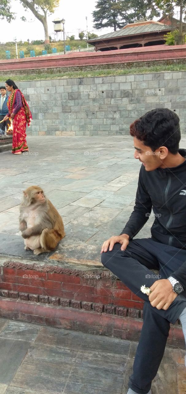 monkey talk with person