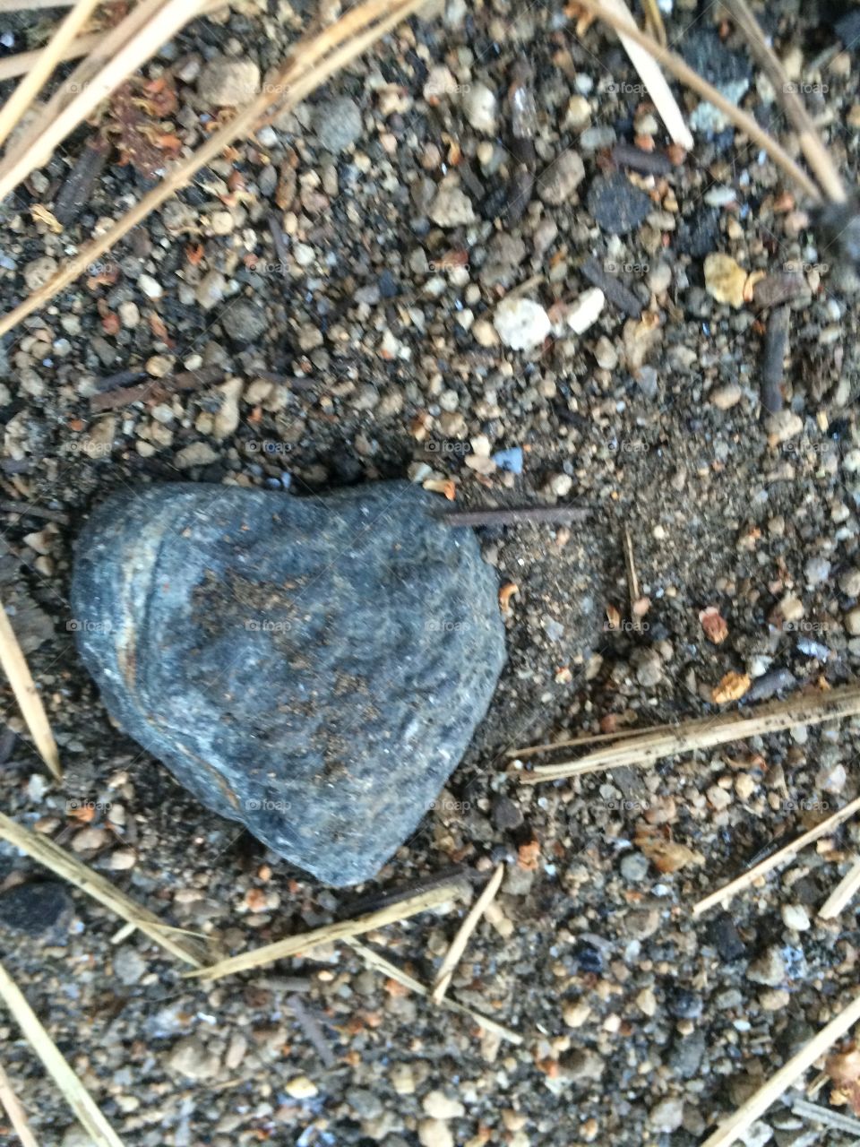 A rock