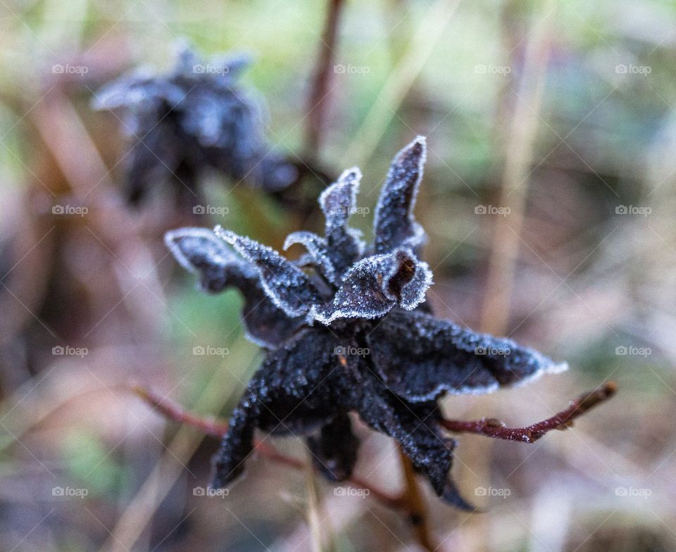 Winter is coming to Norway