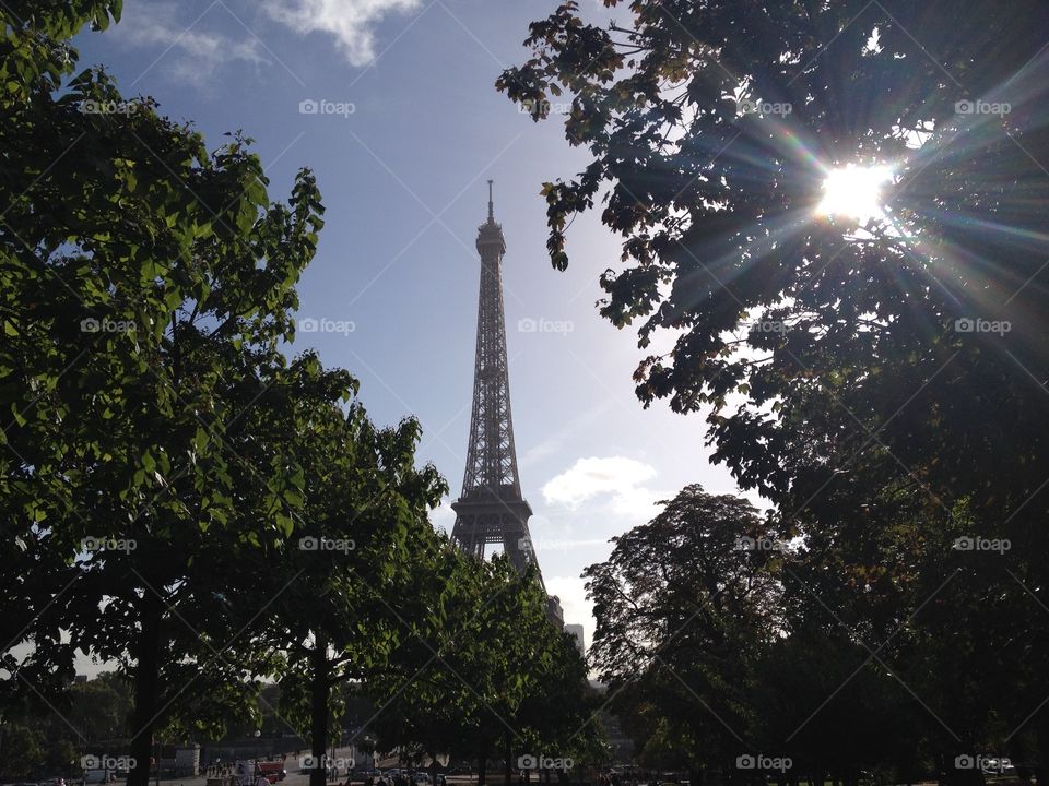 Sunny Eiffel. Eiffel Tower Paris
