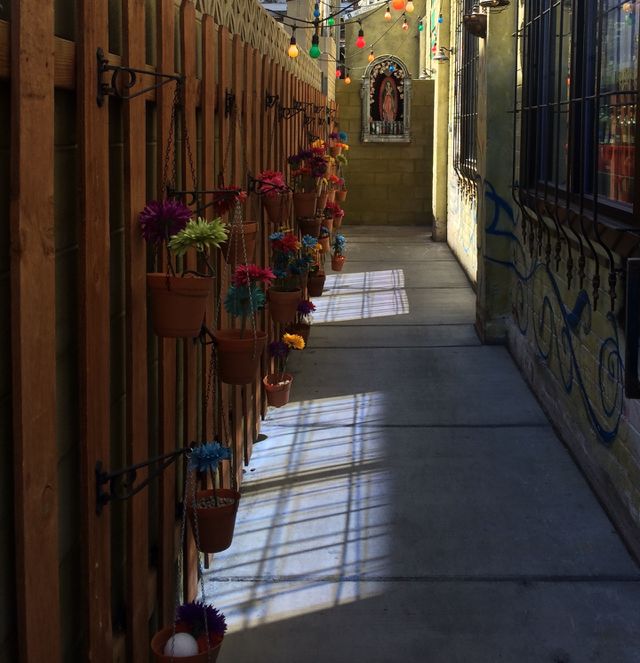 Wall Flowers. By Fremont St