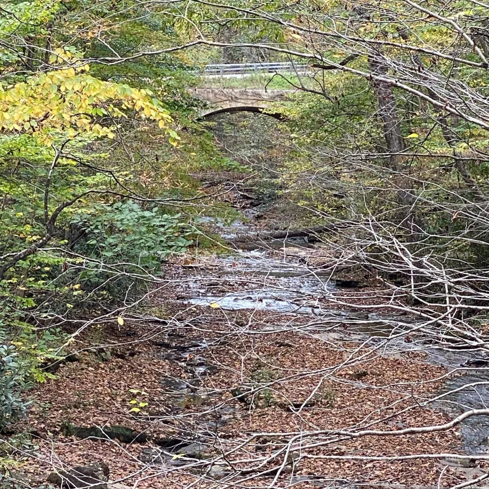 Enjoy the fall 