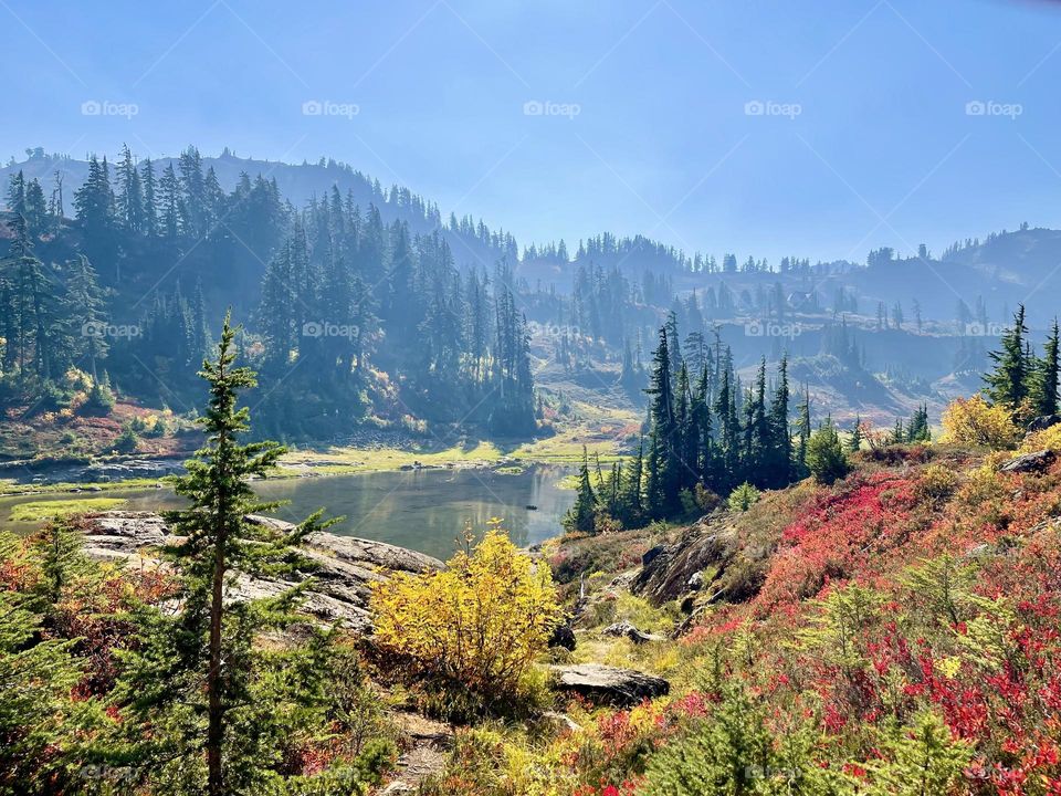 Beautiful autumn landscape in the mountains 