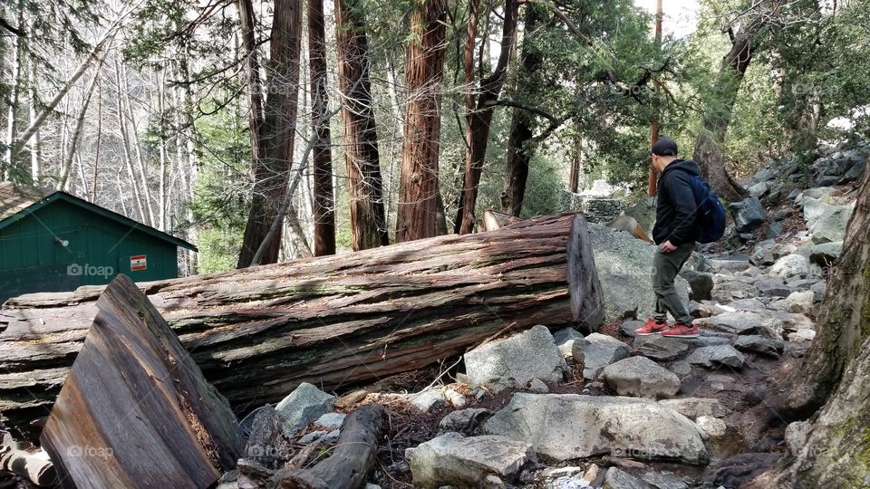 man in the middle of the woods on a rocky trail on a hiking trip during winter fall spring season