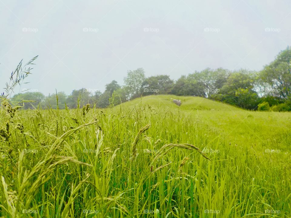 Ulley long barrow Nimfield Uk 