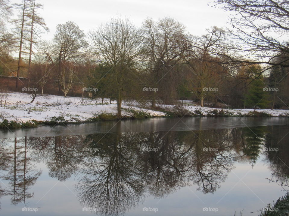 Beautiful Winter Reflections