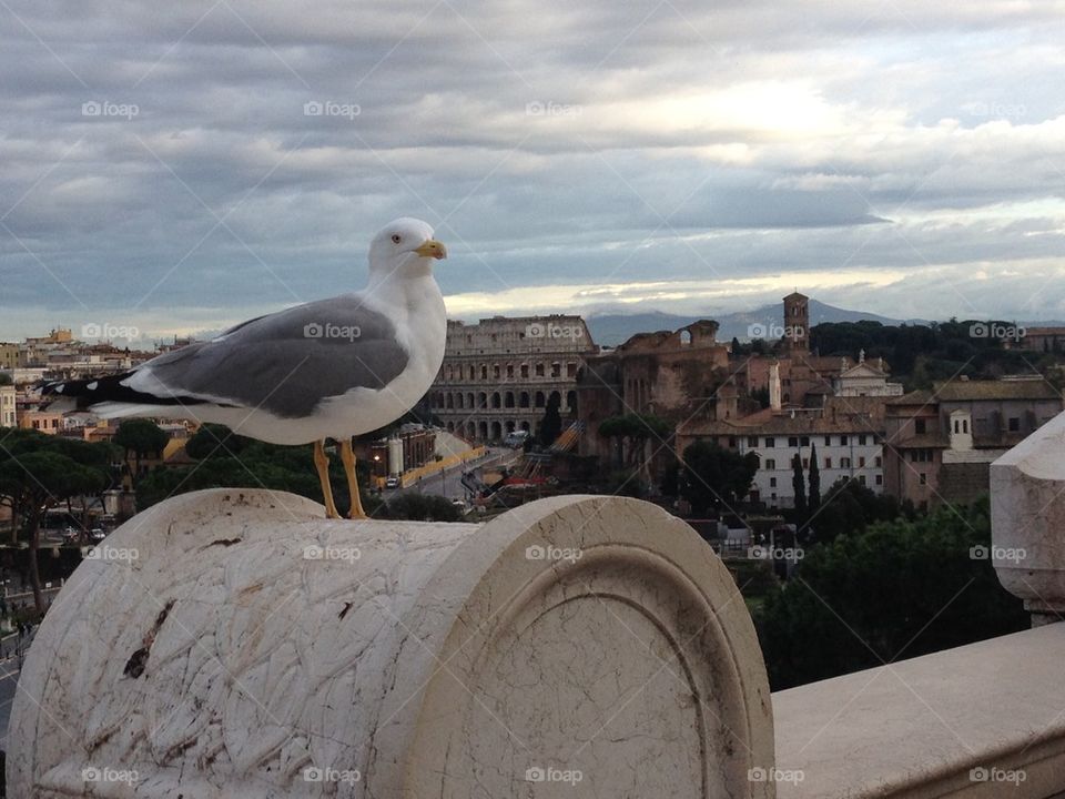 Birds eye view of Rome