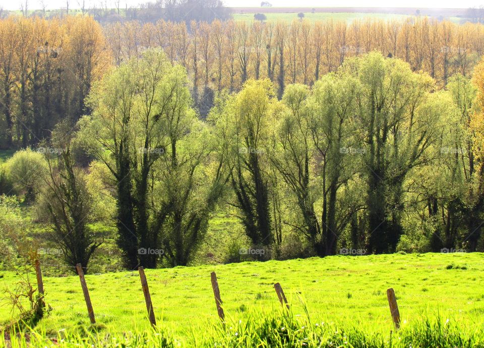 rural landscape