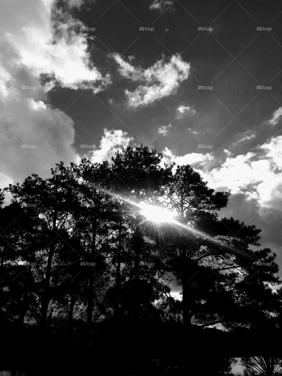 sunset in Black and white