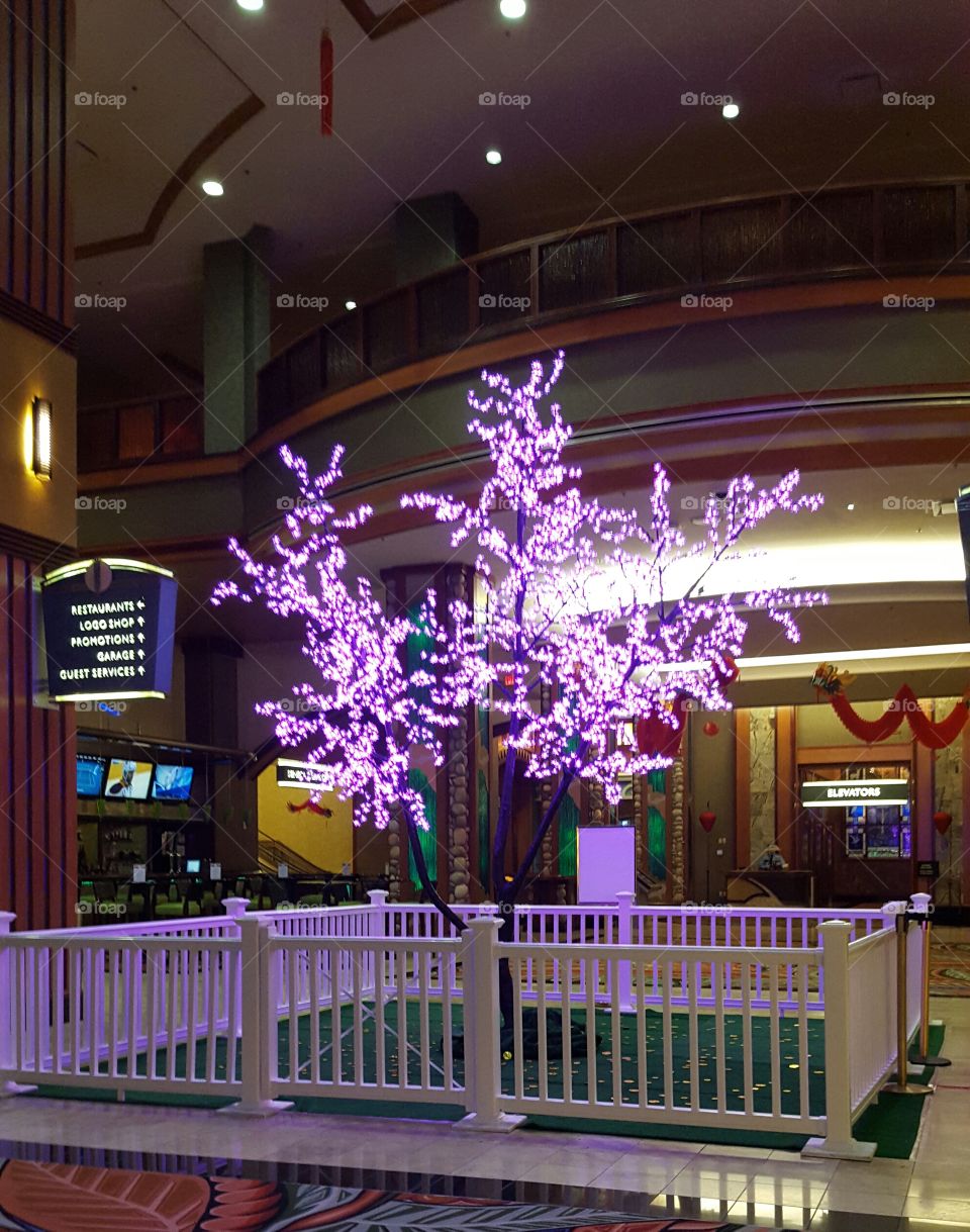 Purple Tree Lights