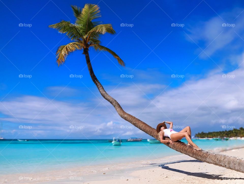 palm on ocean beach