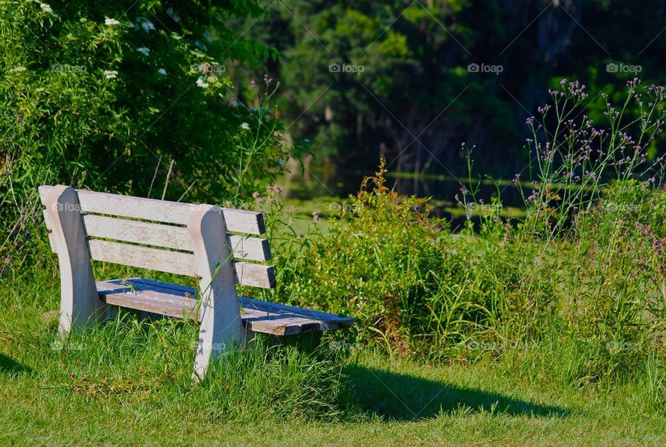 Bench