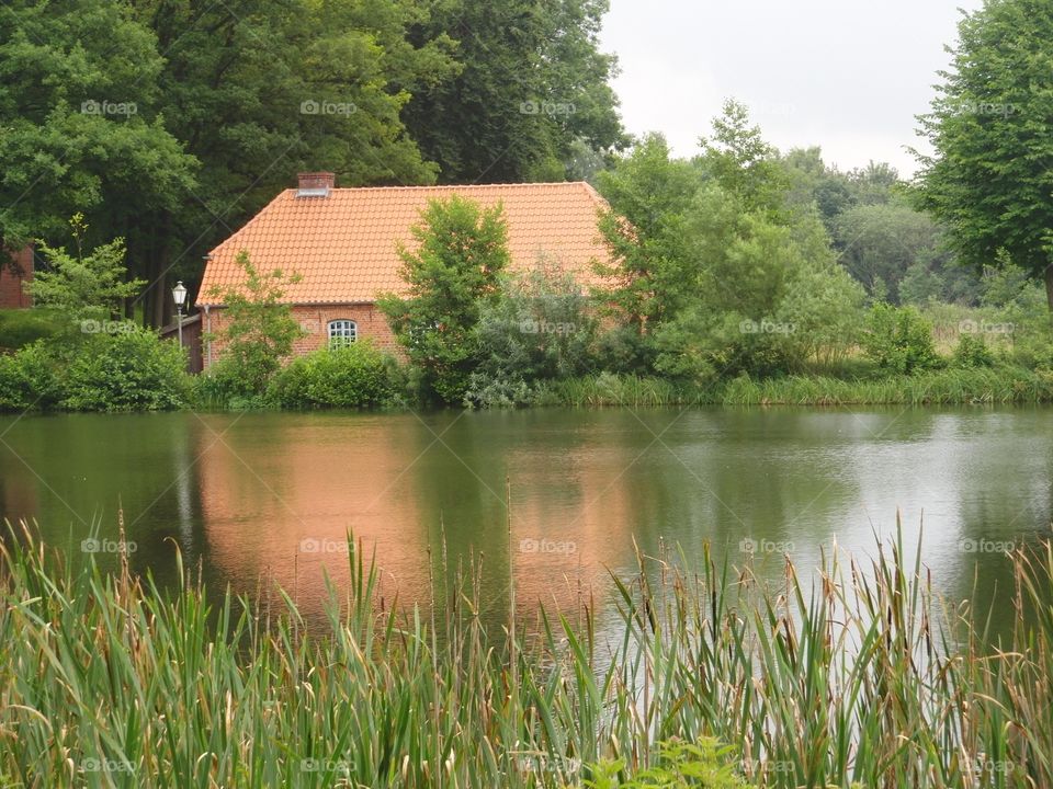 Reflection in lake