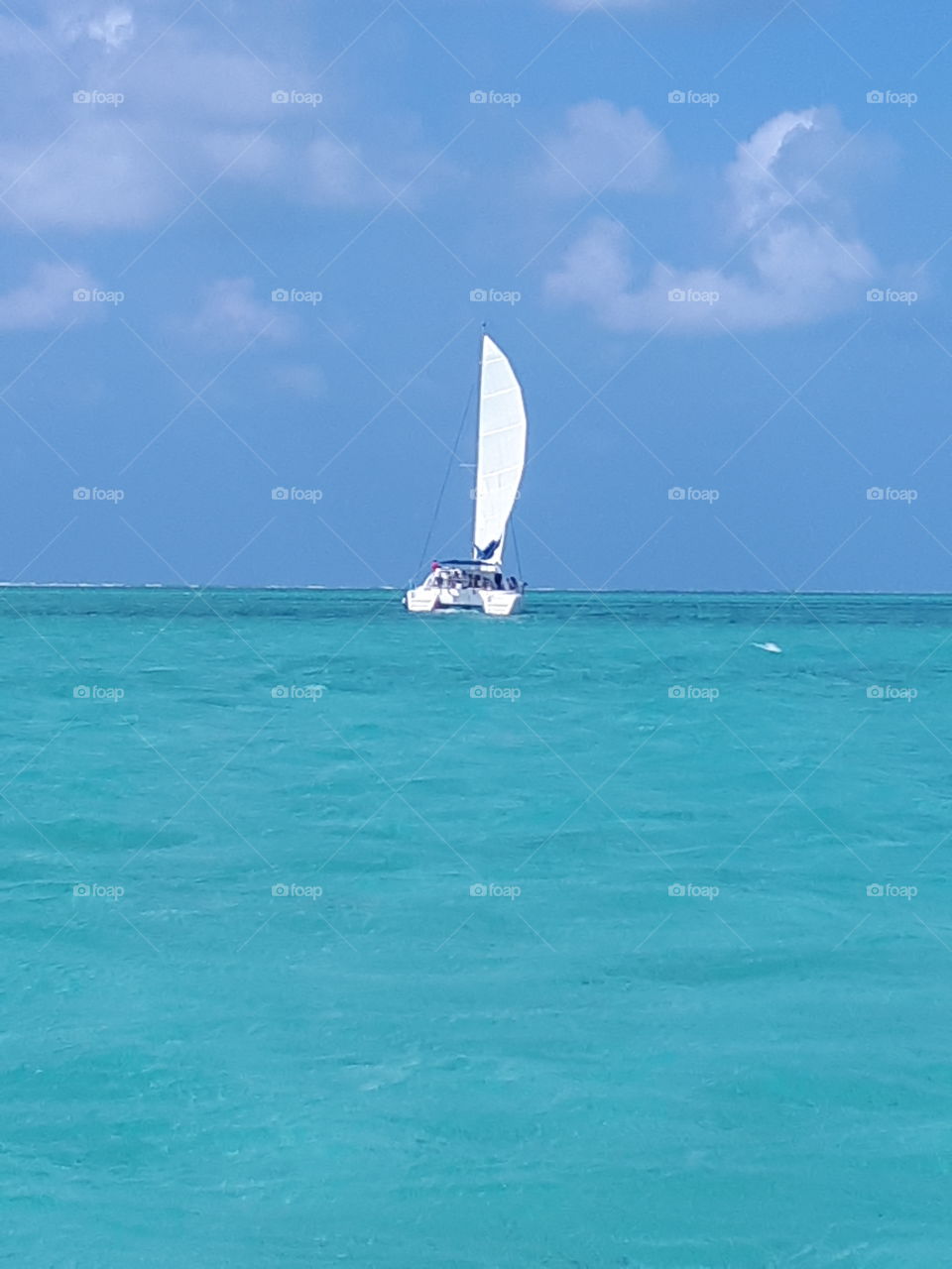 Catamaran  on the Indian Ocean