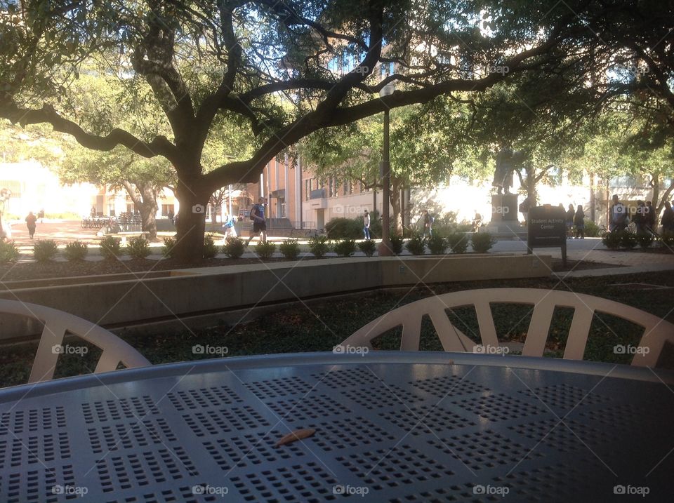 Come sit in the shade with me.