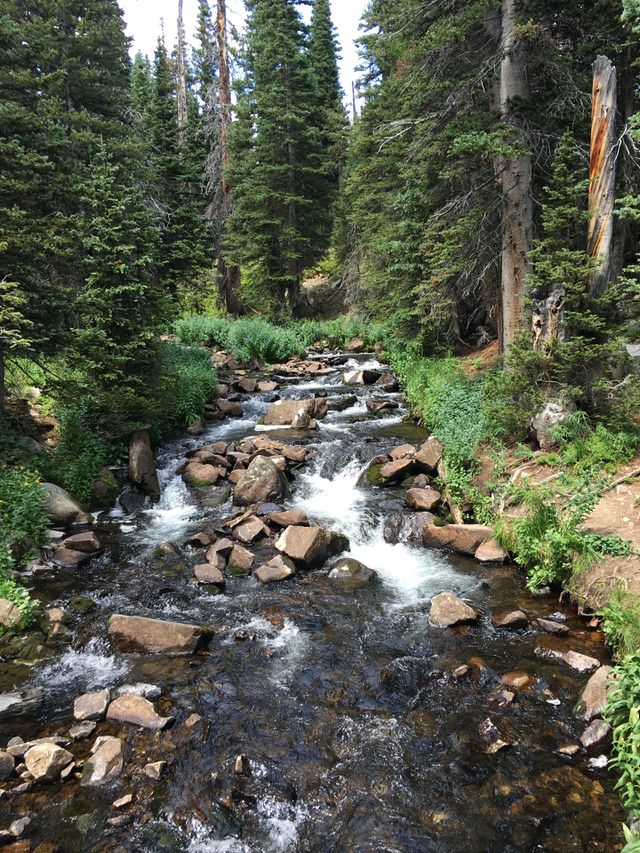 Water in motion