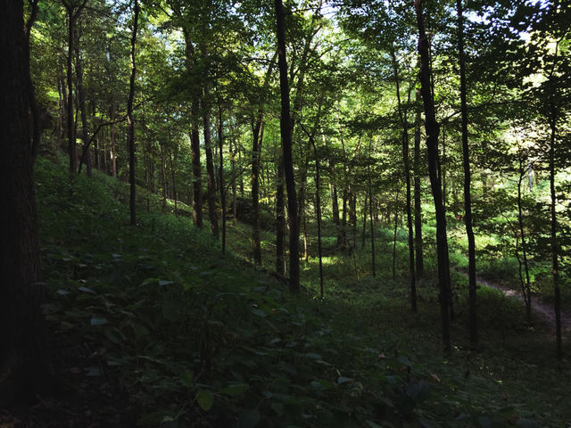 Nature