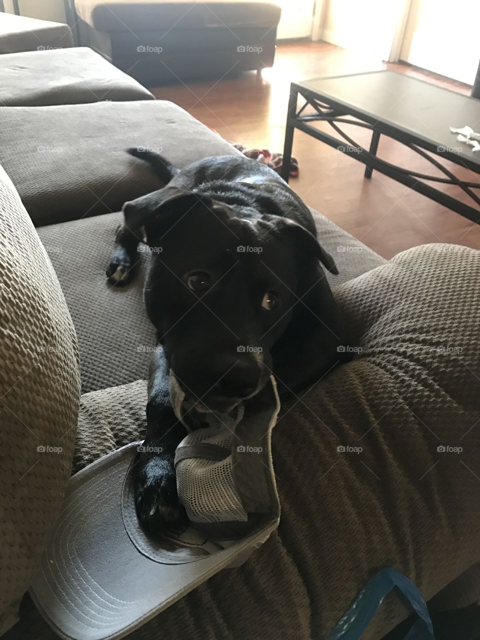 What? I'm not doing anything 