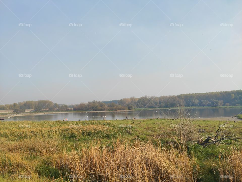 Kovin Serbia river Danube canal landscape of wetlands in autumn