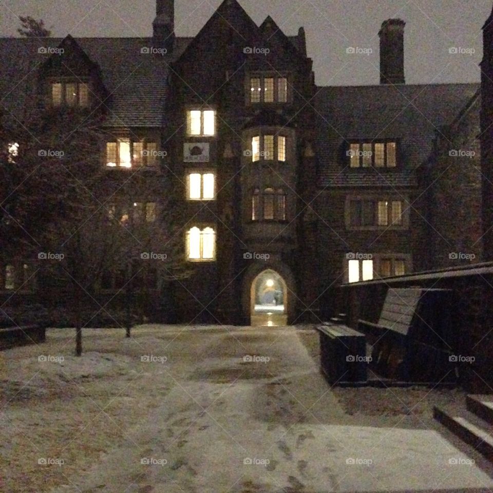 Duke in snow 