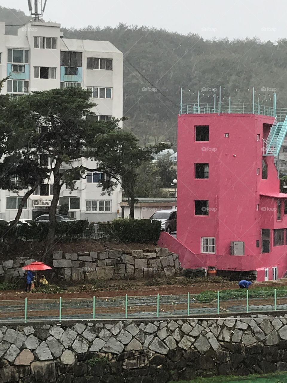 Farming under the heavy rain