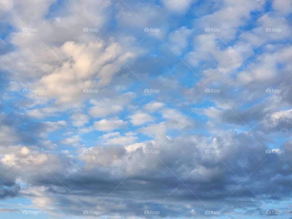 striking blue sky with dark gray rainclouds moving in on a Summer day in Oregon