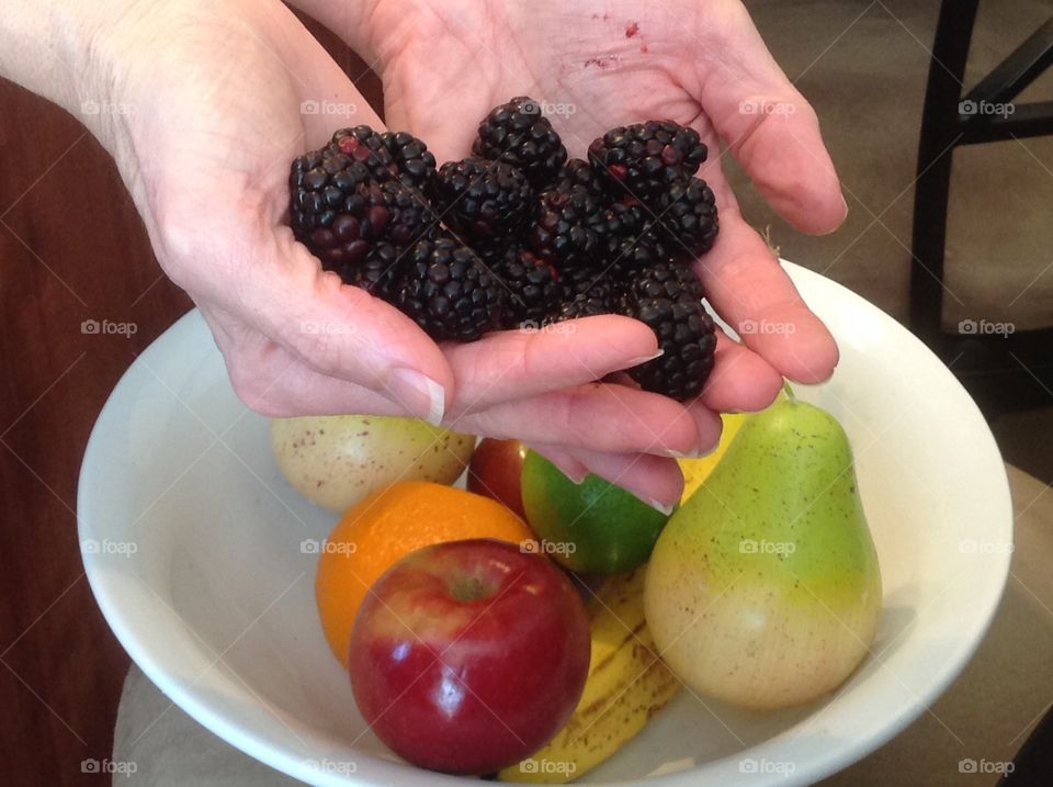 Holding in hand blackberries near a bowl of colorful fruit.