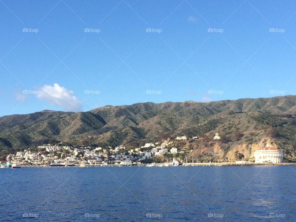 Catalina