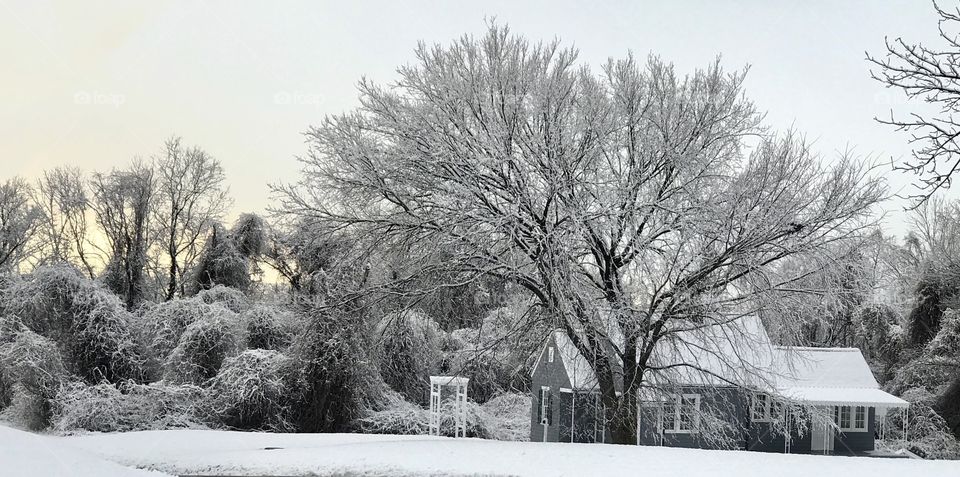 Winter blanket over the land