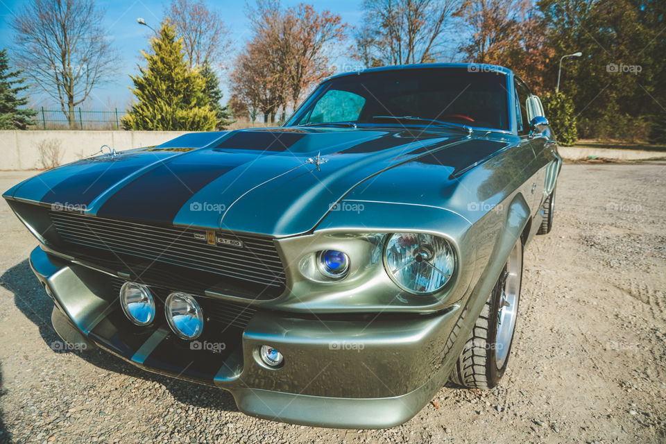 Shelby GT500 eleanor classic car from 1967. Classic sport car icone