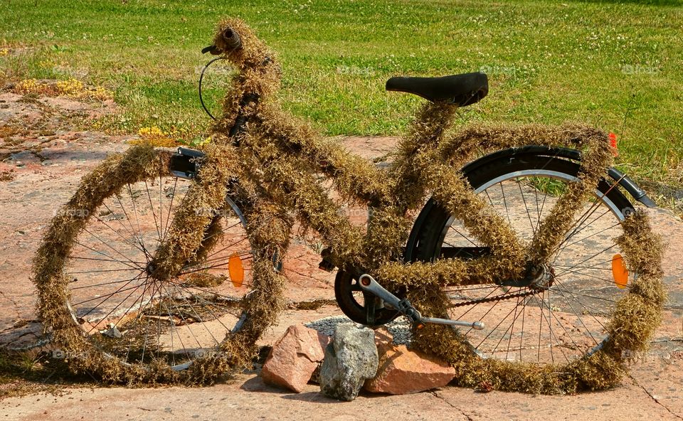 Grassy bike. Old bicycle coverd with moss in the Turki archipelago