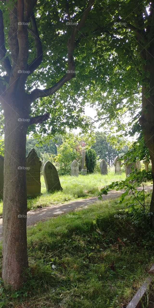 old leaning graves framed by trees in old cemetery