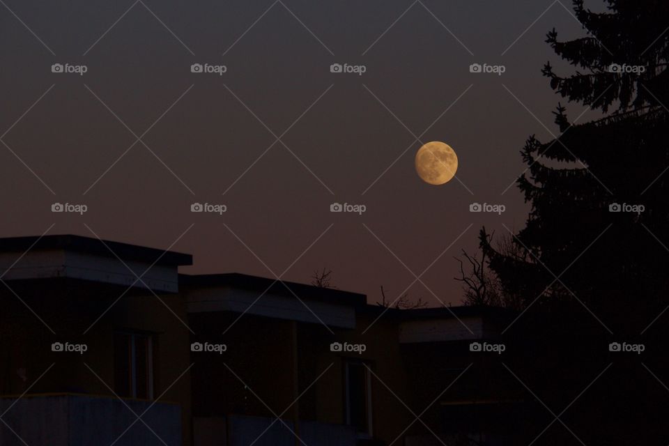 High angle view of full moon