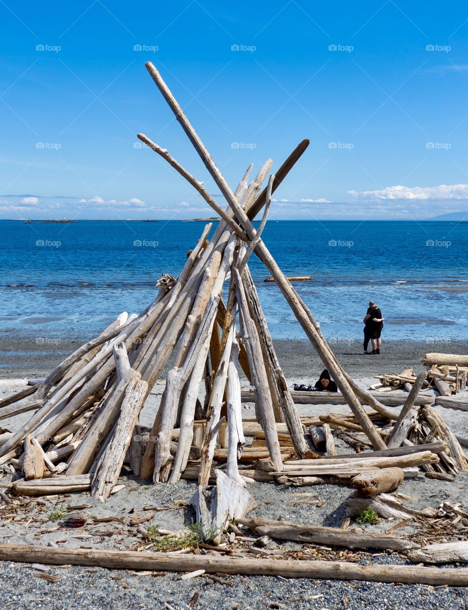 Couple hug on beautiful beach adorned with driftwood 