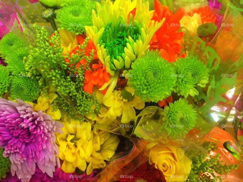 Bright Bouquets
