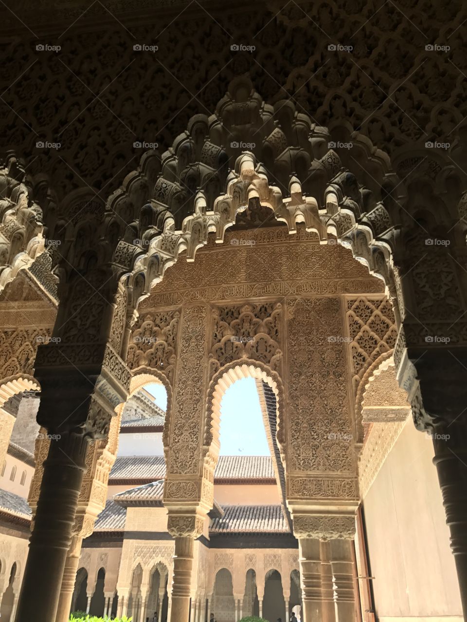 The Beauty of Alhambra 