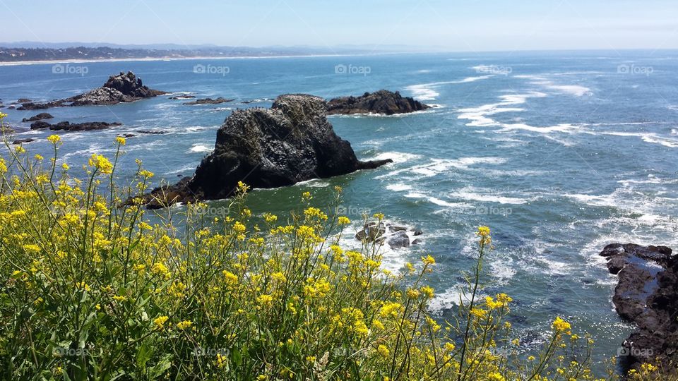 Yaquina Head Outstanding Natural Area Newport, OR