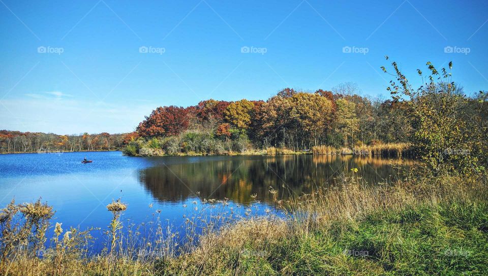 View of autumn trees on idyllic lake