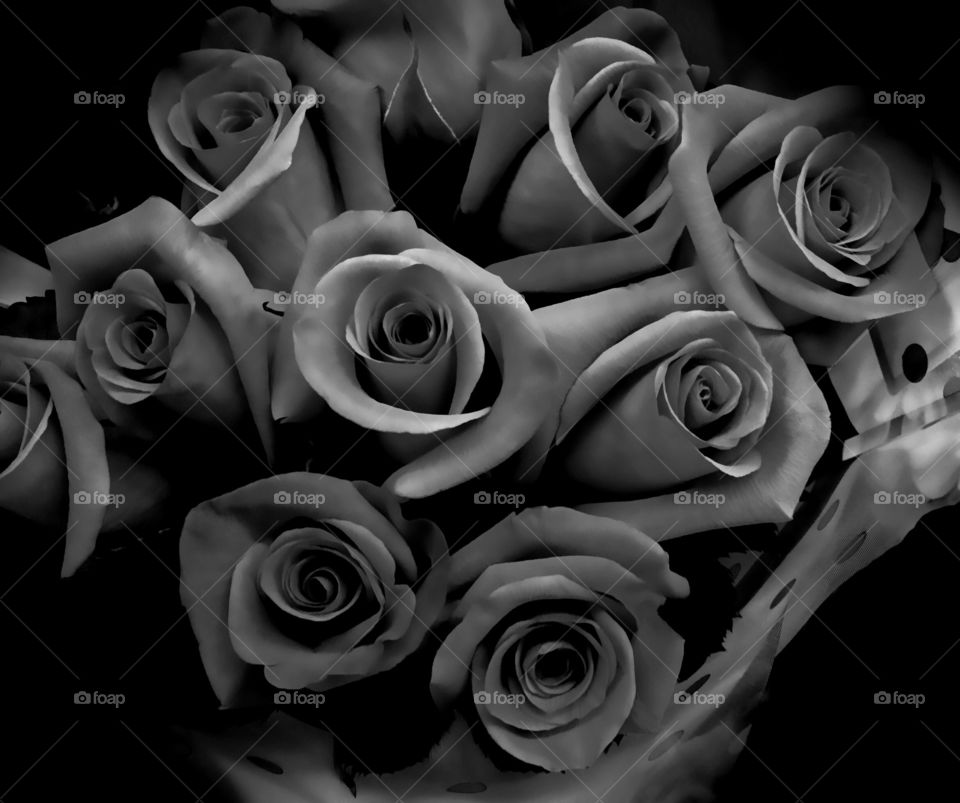Black and white roses
