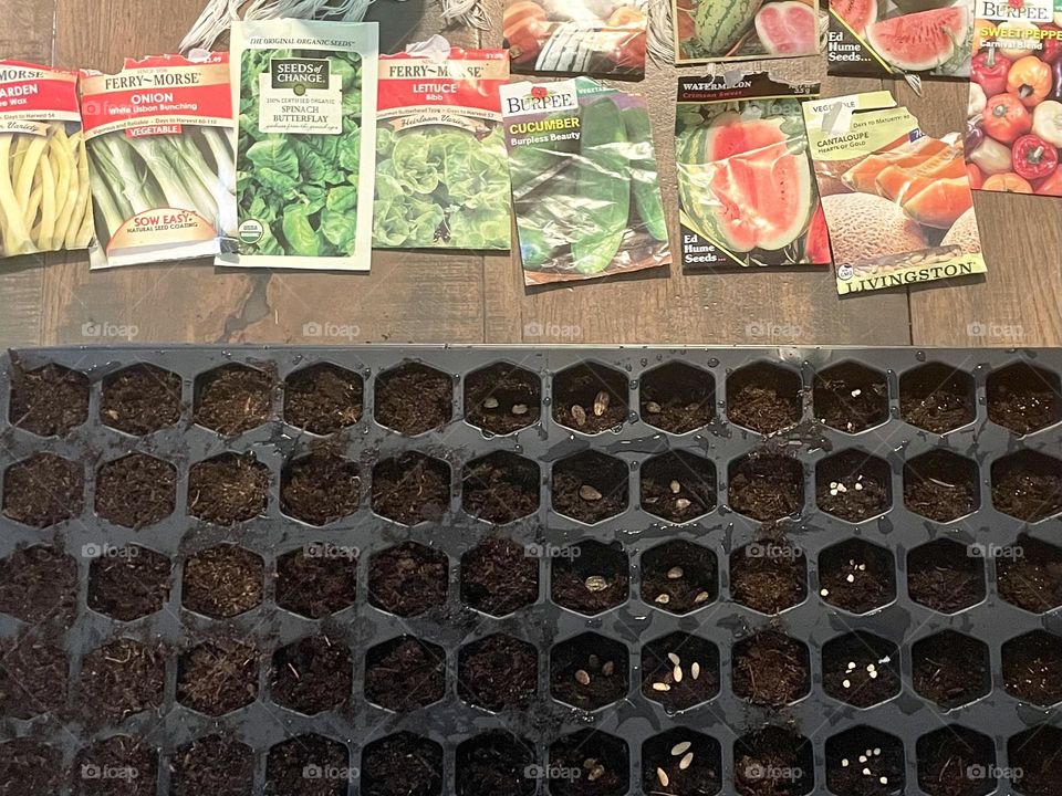 Seeds and planting Cartons