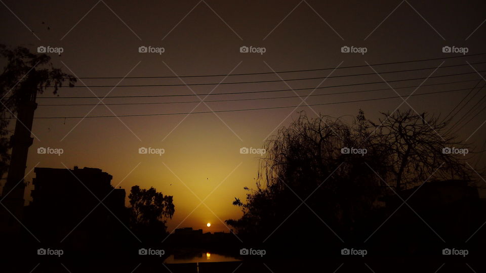 Sunset, Silhouette, Dawn, Evening, Landscape