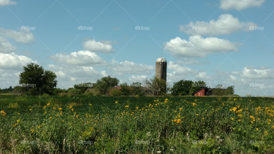 No Person, Landscape, Sky, Agriculture, Outdoors