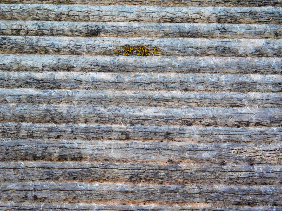 wood texture