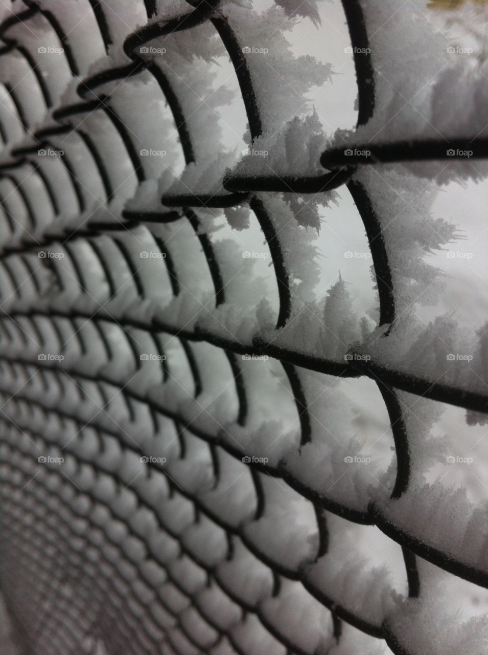 иней заморозки snow winter by jacksolovey